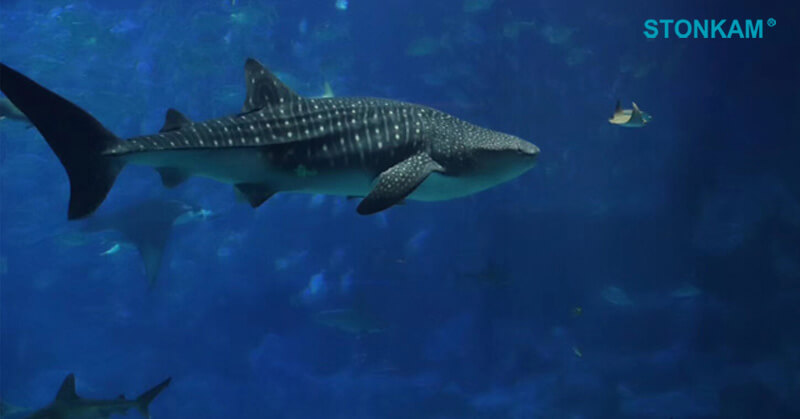 敏視珠海澳門兩日游