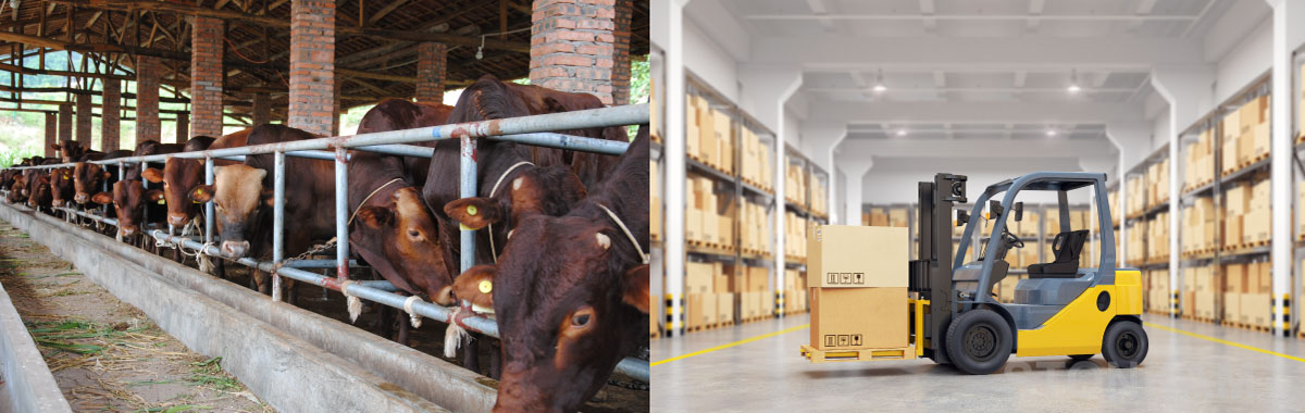 無(wú)線車(chē)載監(jiān)控系統(tǒng)